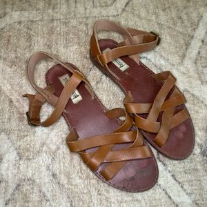 Steve madden brown sandals
